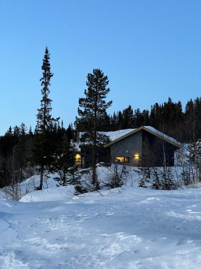 Brand New Cabin On The Sunny Side Of Gaustatoppen With A Great View Tuddal Eksteriør bilde