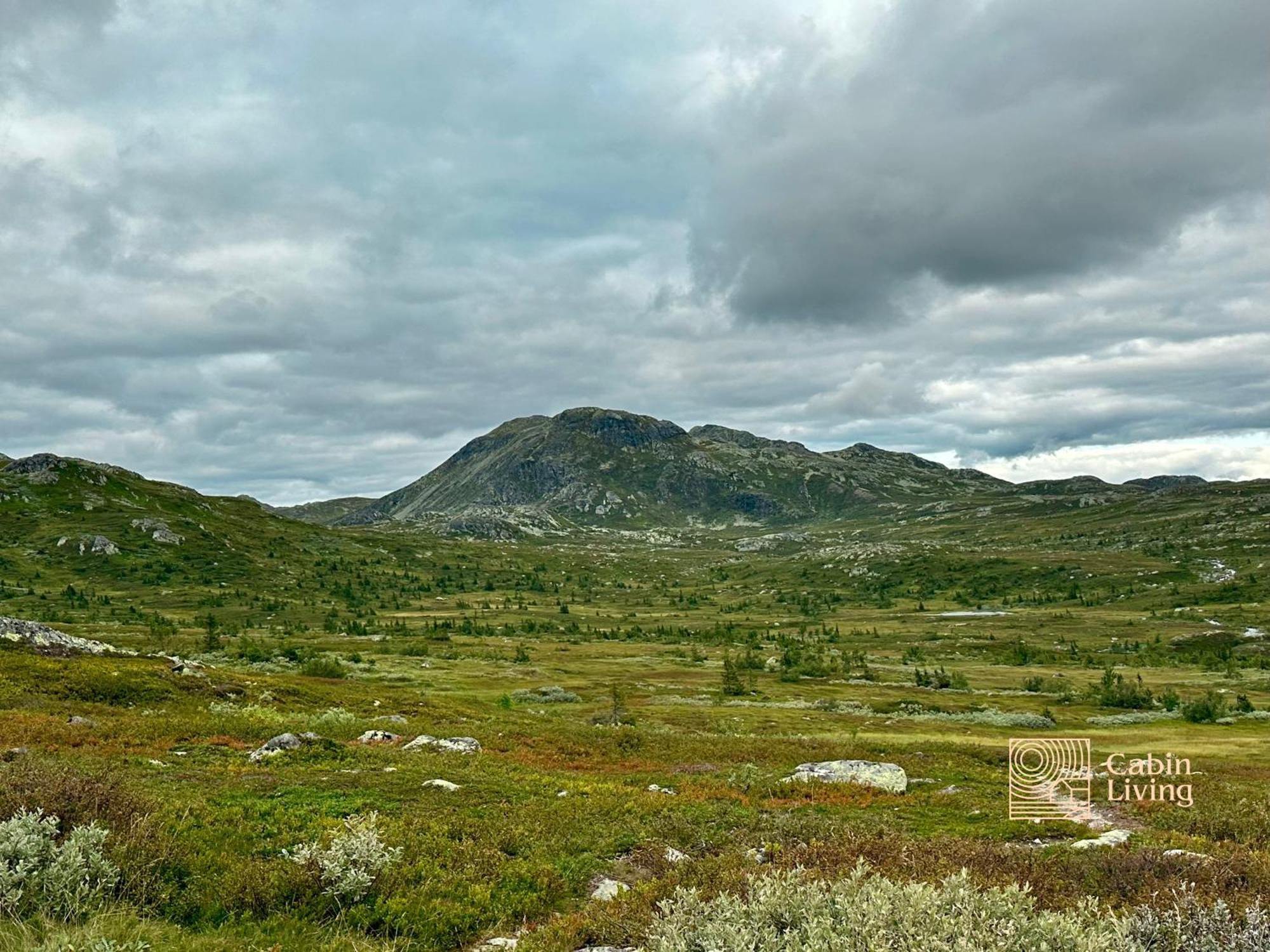 Brand New Cabin On The Sunny Side Of Gaustatoppen With A Great View Tuddal Eksteriør bilde