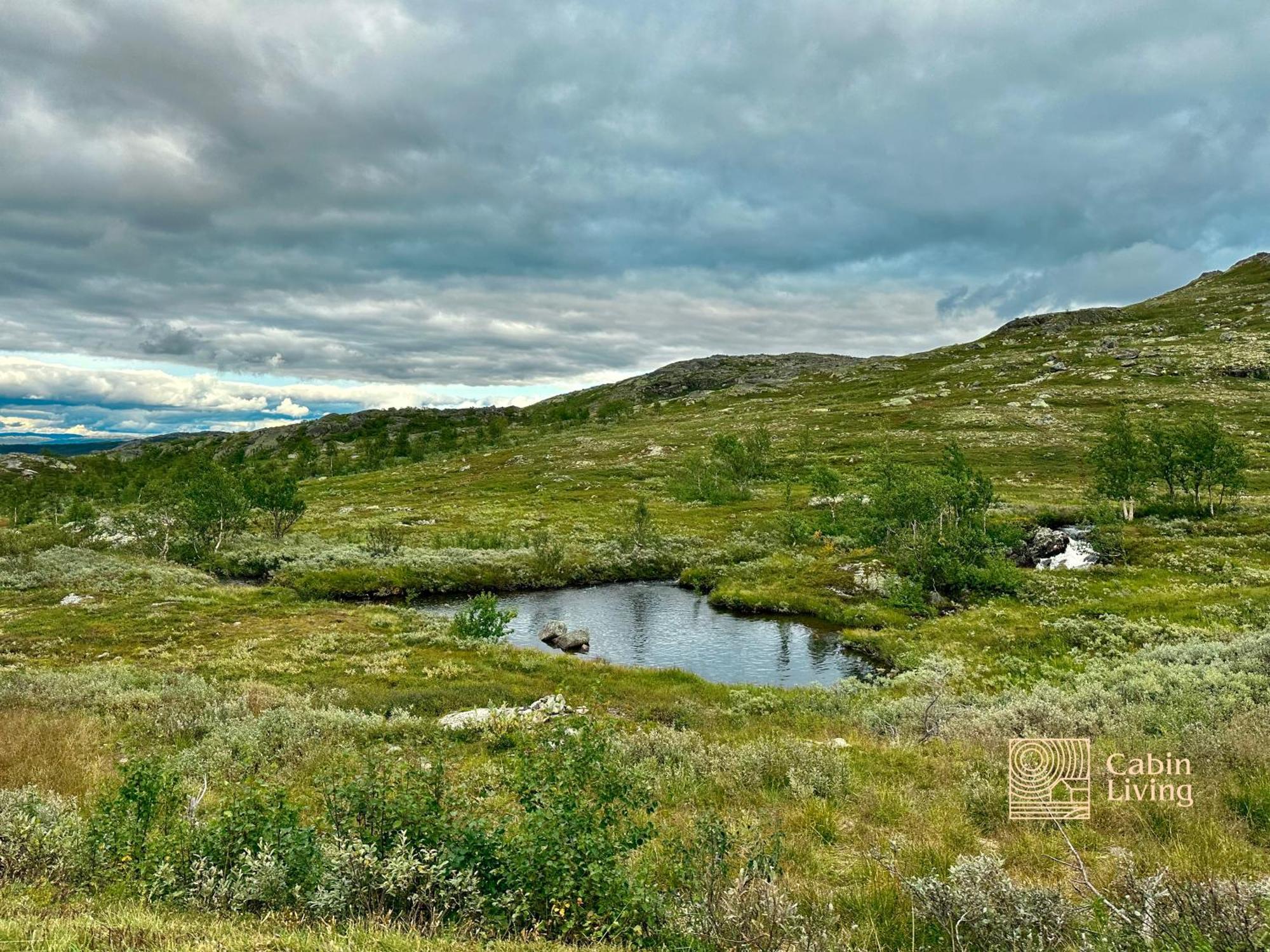 Brand New Cabin On The Sunny Side Of Gaustatoppen With A Great View Tuddal Eksteriør bilde