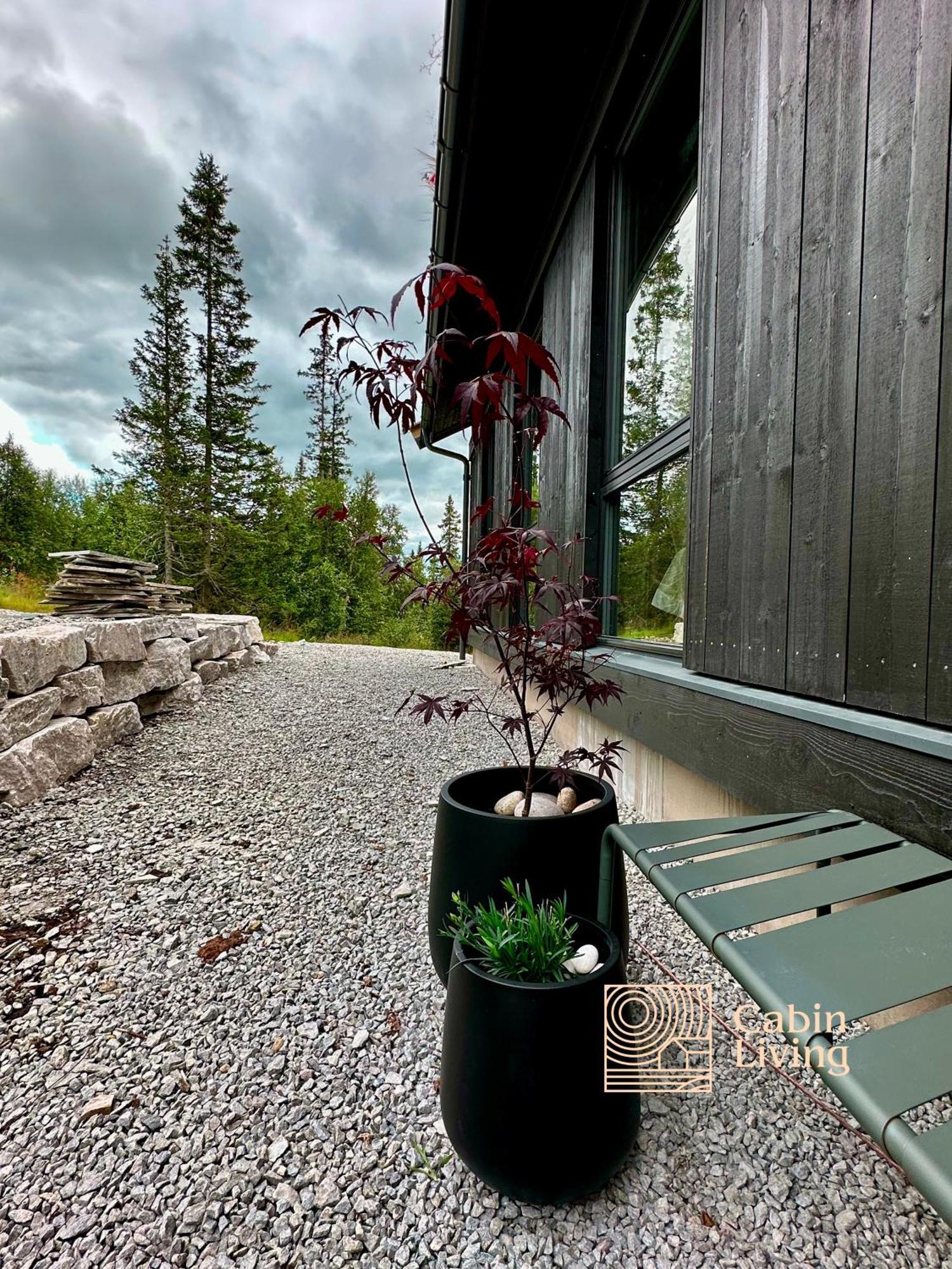 Brand New Cabin On The Sunny Side Of Gaustatoppen With A Great View Tuddal Eksteriør bilde
