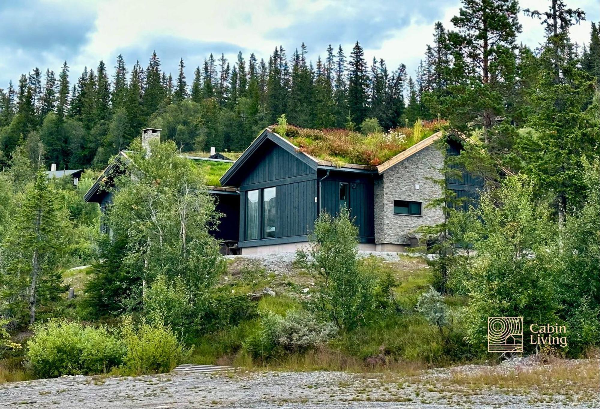 Brand New Cabin On The Sunny Side Of Gaustatoppen With A Great View Tuddal Eksteriør bilde
